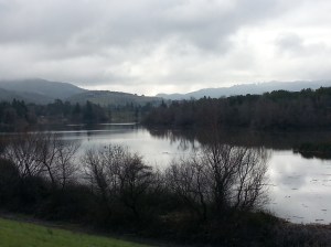 Early.Winter.at.Lake